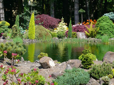Miniarboretum