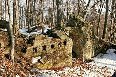 Zřícenina hradu Rožnov
