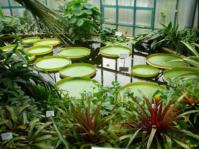 Botanická zahrada Liberec