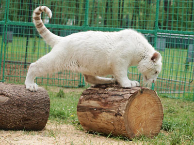 ZOO PARK Doksy