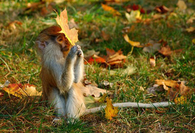 ZOO Olomouc