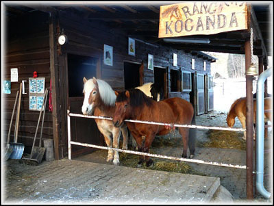 Zdroj: www.ranckocanda.estranky.cz Zdroj: www.ranckocanda.estranky.cz
