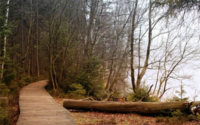 Kladské rašeliny
