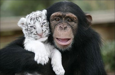 ZOO Liberec