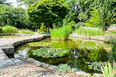 Botanická záhrada Bratislava