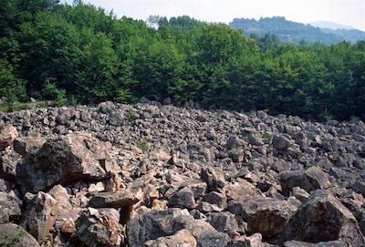 zdroj: www.lenposlovensku.sk zdroj: www.lenposlovensku.sk