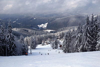 Zóna Snow